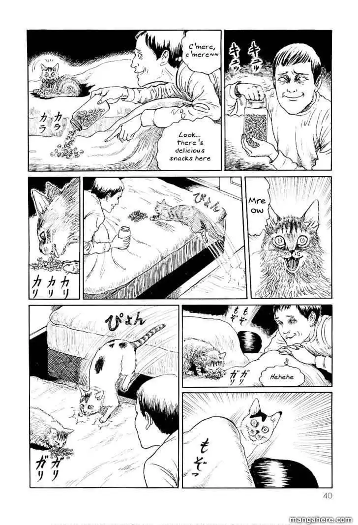 Ito Junji's Cat Diary Chapter 4 5